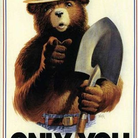 An iconic image of Smokey the Bear. Smokey Bear's famous phrase could be seen as a derivative of Uncle Sam's. Forest Service, U.S. Department of Agriculture.