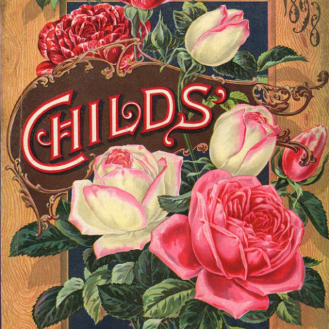 An 1898 catalog